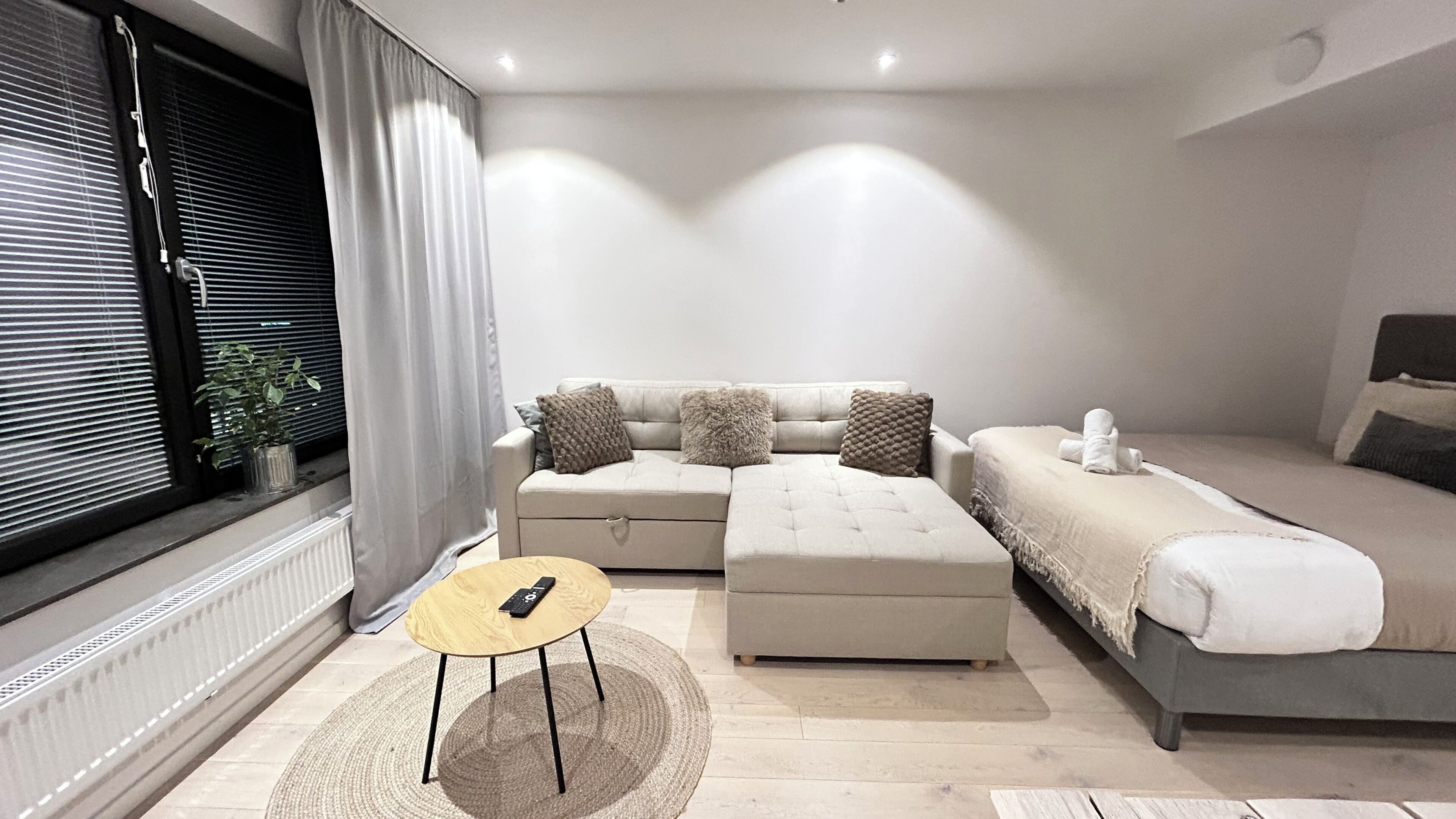 Apartment, 1 Bedroom, Accessible, City View | 1 bedroom