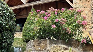 A rustic stone wall with a metal bucket, a wooden structure with a tiled roof, and pink flowering bushes.