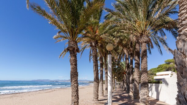 A beach with palm trees, a pathway, and a building in the background.