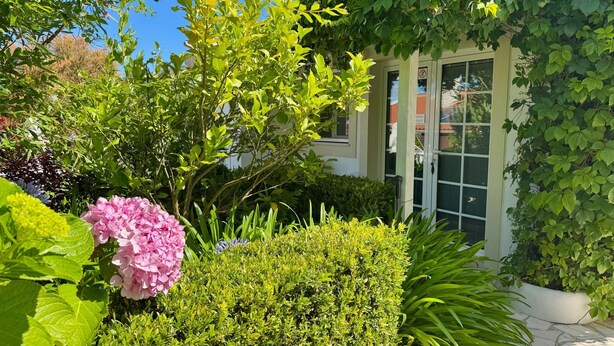 Un jardín con diversas plantas y un edificio con puerta de cristal.