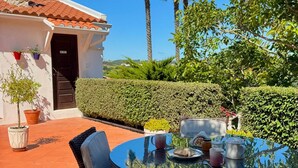 Un patio con sillas de mimbre, una mesa redonda y una planta en maceta.