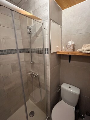 Shower, hair dryer - Praloup 1600 Studio ground floor with exterior (Uvernet-Fours)
