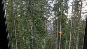 A snow-covered outdoor area with a wooden picnic table and bench, surrounded by tall trees. - Praloup 1600 Studio ground floor with exterior (Uvernet-Fours)