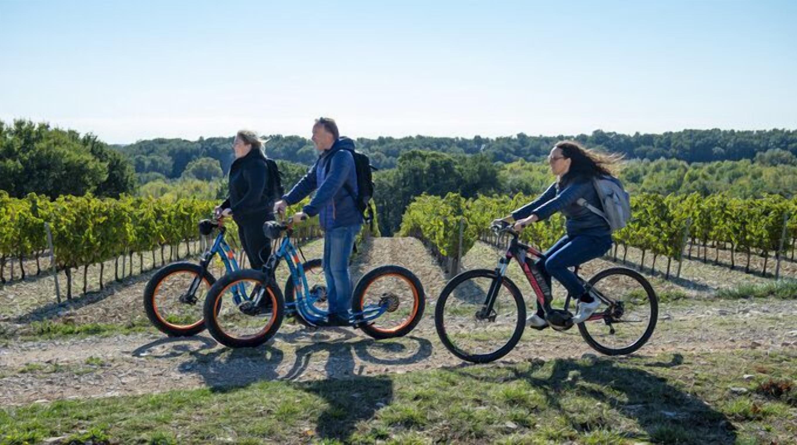 Un viñedo con tres bicicletas y dos personas.