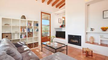 Una televisión, una chimenea
