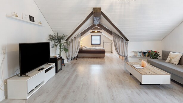 Un dormitorio tipo loft moderno con techo inclinado, un televisor sobre un mueble blanco, una mesita de madera y un sofá con cojín.