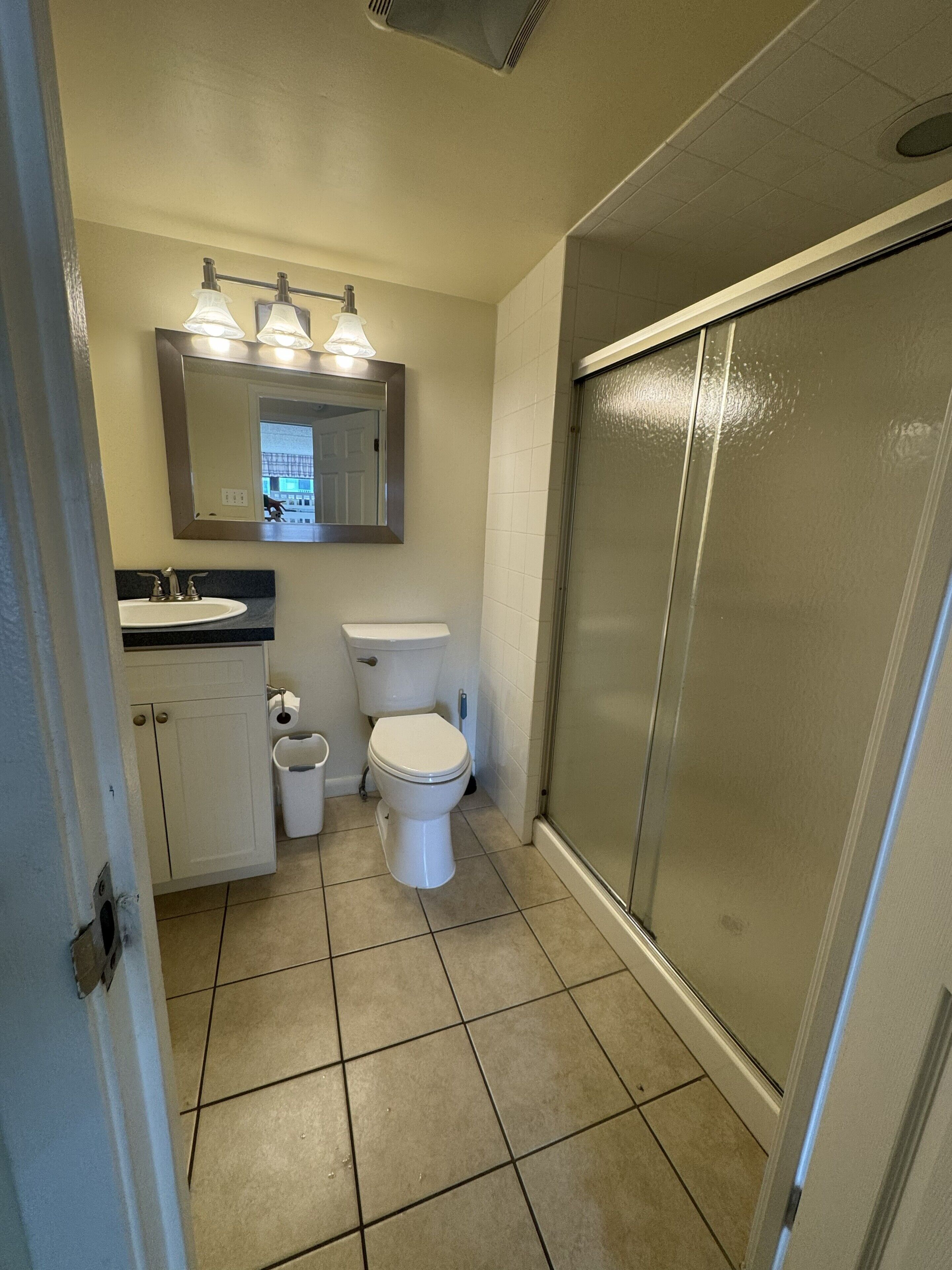 Shower, jetted tub, hair dryer, towels