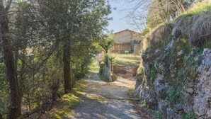Un sendero estrecho que lleva a una casa rústica rodeada de árboles frondosos.