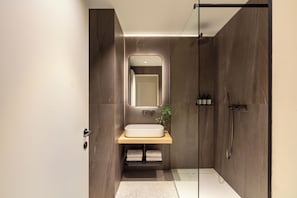 Regadera, amenidades de baño ecológicas, secadora de cabello, toallas 