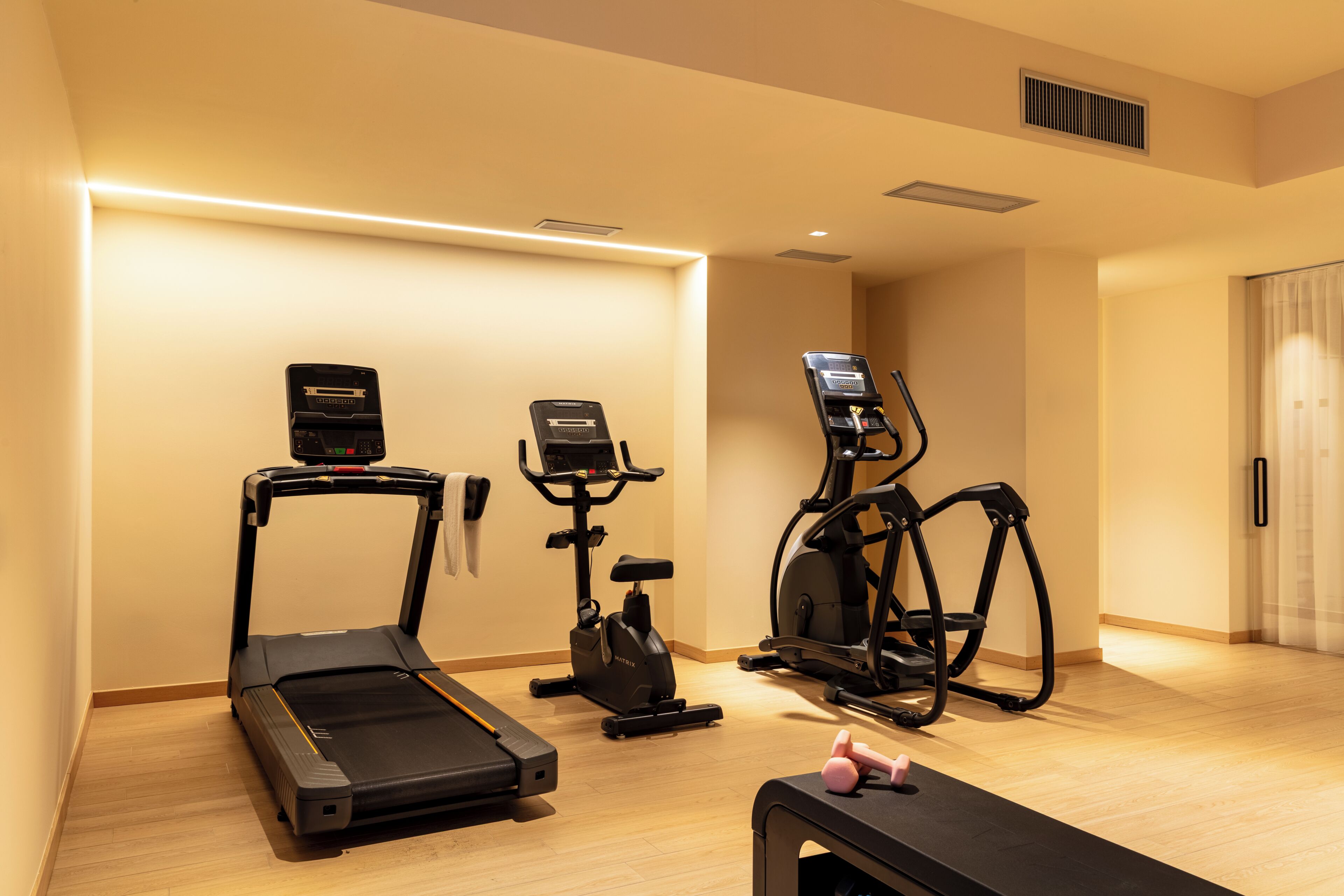 A gym with a treadmill, elliptical, and stationary bike.