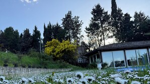 A field of white flowers, a stone wall, and a building with large windows.