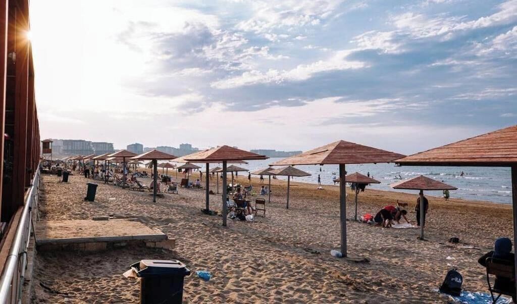 A beach with umbrellas and chairs, a sandy shore, and a view of the sea.