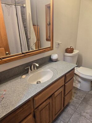 Bathroom - Serene 3-bedroom house in Belgrade perfect for your getaway (Belgrade)