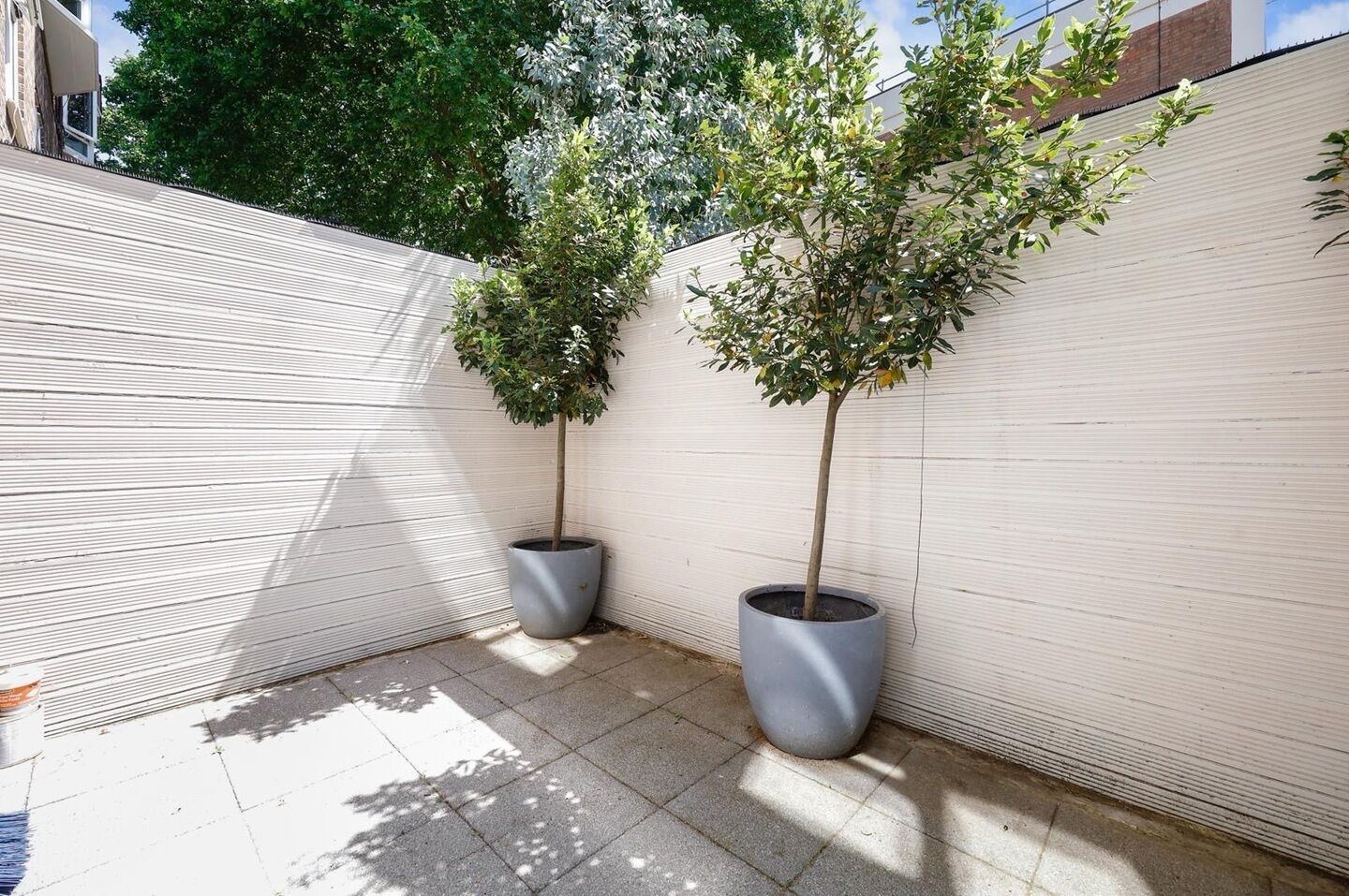 Two potted trees against a white wall in a courtyard.