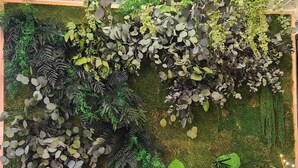 A vertical garden with various plants and a moss-covered wall. - Luxury Apartment Very Close to the C.C. Yumbo with 2 King Size Beds 200x200cm (Maspalomas)