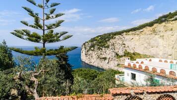 Uitzicht vanuit accommodatie