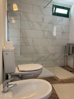 Shower, hair dryer, bidet, towels
