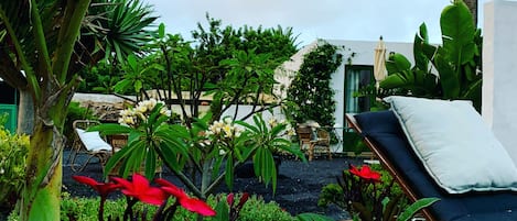 Terraço/pátio