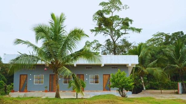 A two-story building with a flat roof, surrounded by greenery and palm trees. - PremKunj Homestay (Dandeli)