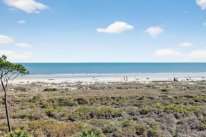 Ein Strand mit Menschen, einem klaren Himmel und spärlicher Vegetation.