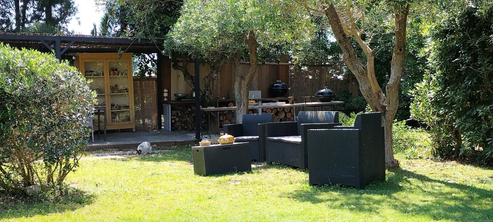 An outdoor patio with a dining table, chairs, and a barbecue grill.