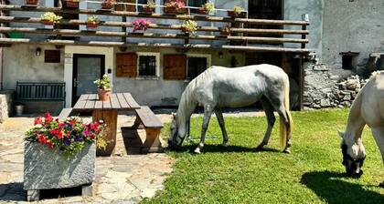 Charming farmhouse in northern Italy - nature, tranquillity & real agriturismo feeling