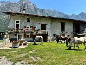 Exterior - Vrbo Property (Samolaco)