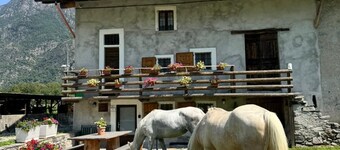 Charming farmhouse in northern Italy - nature, tranquillity & real agriturismo feeling