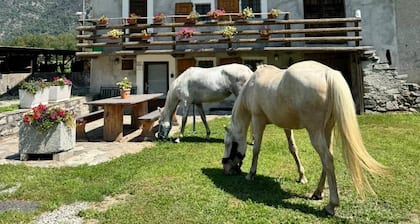 Charming farmhouse in northern Italy - nature, tranquillity & real agriturismo feeling