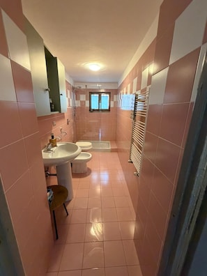 Shower, hair dryer, bidet, towels