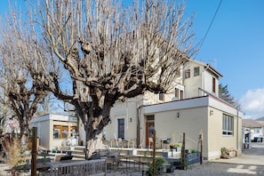 Un edificio con un grande albero di fronte, posti a sedere all'aperto e una piccola costruzione con una finestra.