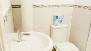 A bathroom with a white sink, toilet, and a roll of toilet paper on the toilet.