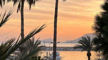 Un paysage côtier avec des palmiers, une marina et des bateaux.