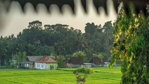 A rural landscape with a field, a few houses, and dense foliage in the background. - Airlangga Dsawah by Balihora, Ubud Vill (Ubud)