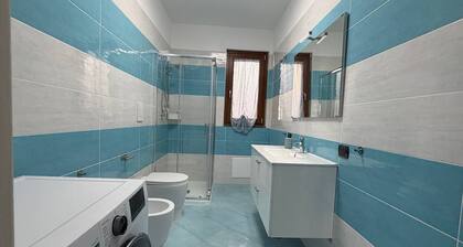 The Little Blue House