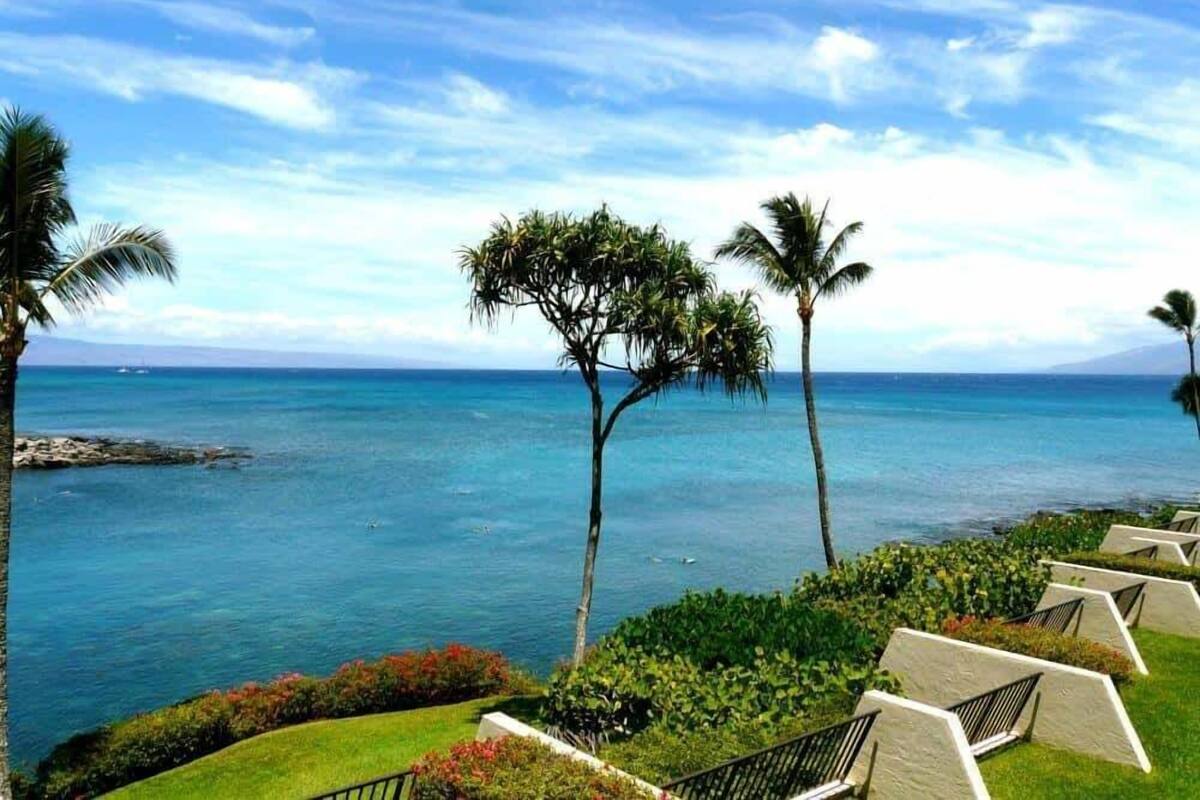 Appart'hôtel, 1 chambre | Divers