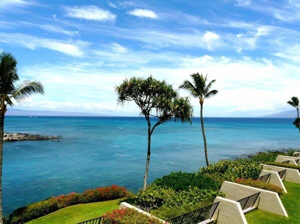 A coastal view with palm trees, a clear sky, and a calm sea. - 2br Oceanfront Loft With Solar Shade - Unit C27 1 Bedroom Condo (Lahaina)