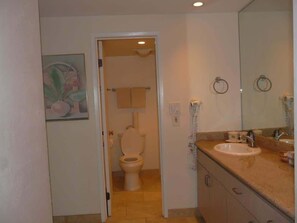 A bathroom with a toilet, sink, and mirror. - 2br Oceanfront Loft With Solar Shade - Unit C27 1 Bedroom Condo (Lahaina)