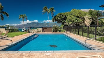 Condo, 1 phòng ngủ | Hồ bơi