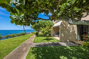 Condo, 1 Bedroom | Property grounds - Oceanfront Maui Point Condo Sleeps 4 - Unit A3 1 Bedroom Condo (Lahaina)