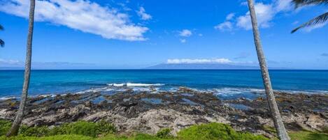 Condo, 1 Bedroom | Beach