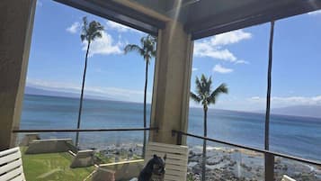 Apartamento, 1 habitación | Jardines del alojamiento