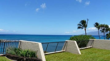 Condo, 1 Bedroom | Property grounds