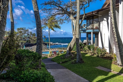Napili Point Ocean View Escape With Ac - Unit B31 1 Bedroom Condo