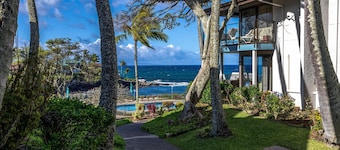 Napili Point Ocean View Escape With Ac - Unit B31 1 Bedroom Condo