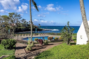 Pool - Oceanfront 2br Loft With Sunset Views - Unit C23 1 Bedroom Condo (Lahaina)