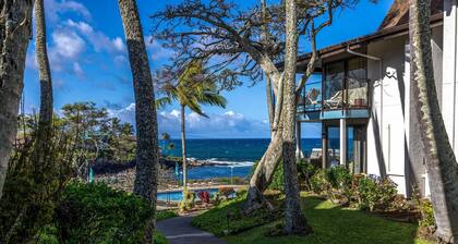 Napili Point Oceanfront Turtle View 1br - Unit B30 1 Bedroom Condo