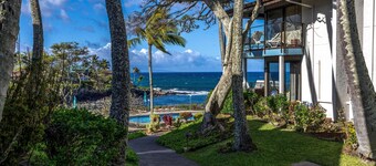 Napili Point Oceanfront Turtle View 1br - Unit B30 1 Bedroom Condo