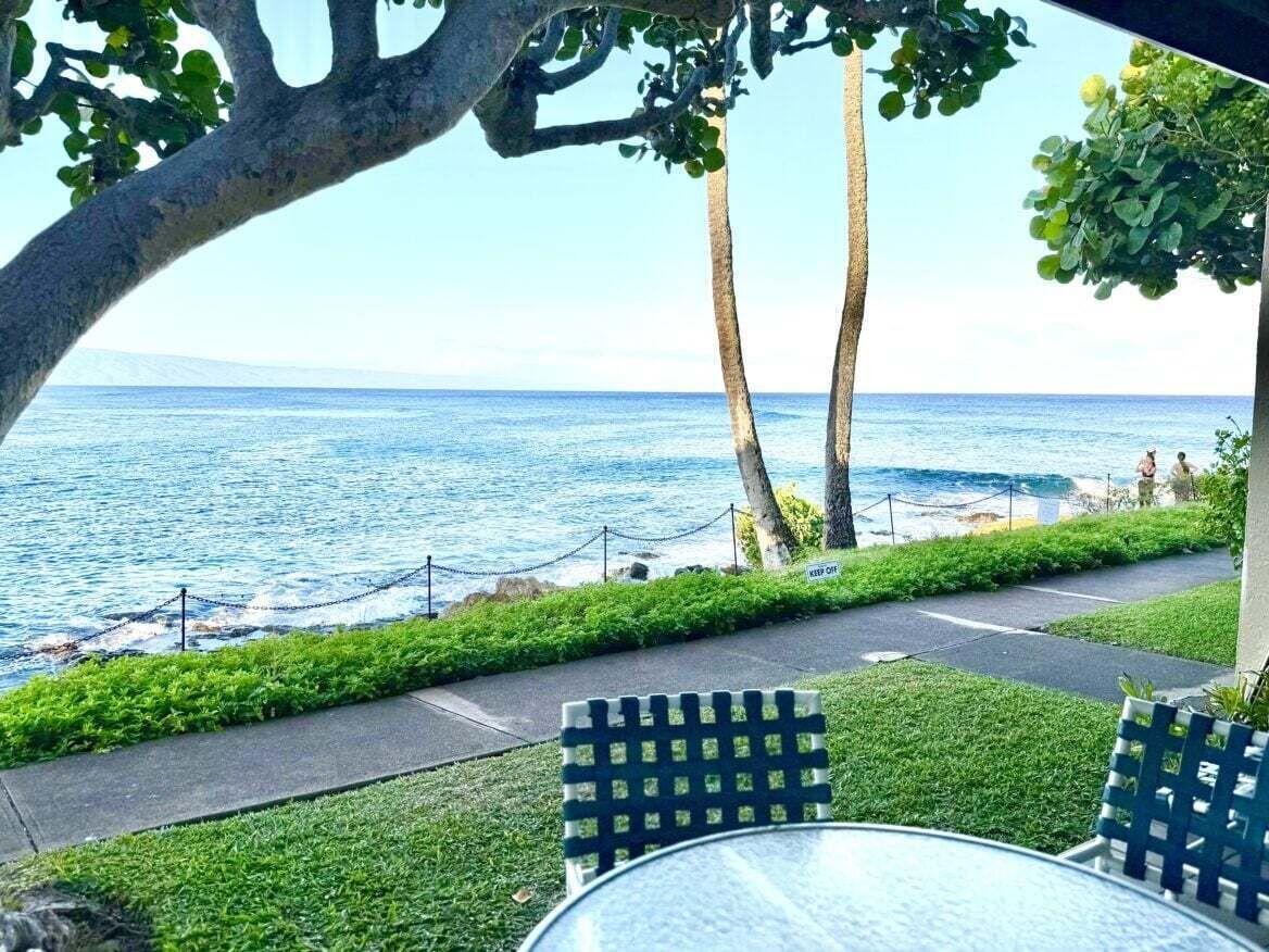 Huoneisto, 1 makuuhuone | Terassi/patio