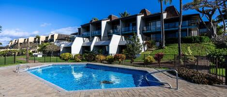 コンドミニアム 1 ベッドルーム | プール